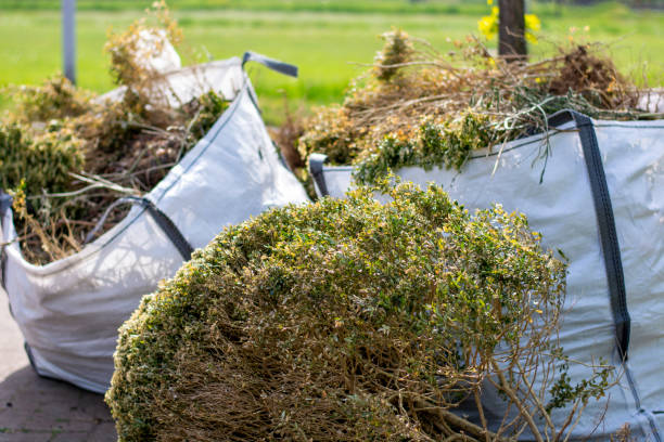 Best Electronics Removal Services  in Watertown, NY